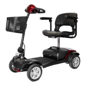 S1 Sport Travel Scooter